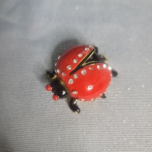 Red and Black Ladybug Tricket Box